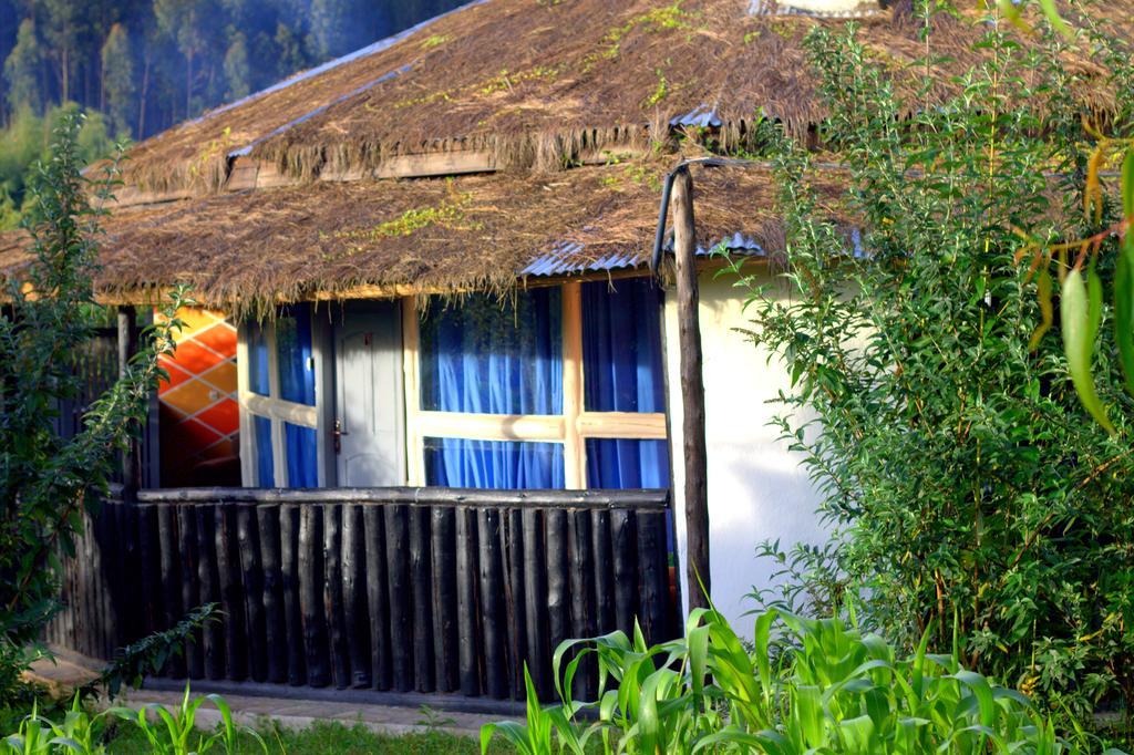 Le Bambou Gorilla Lodge Kinigi 部屋 写真