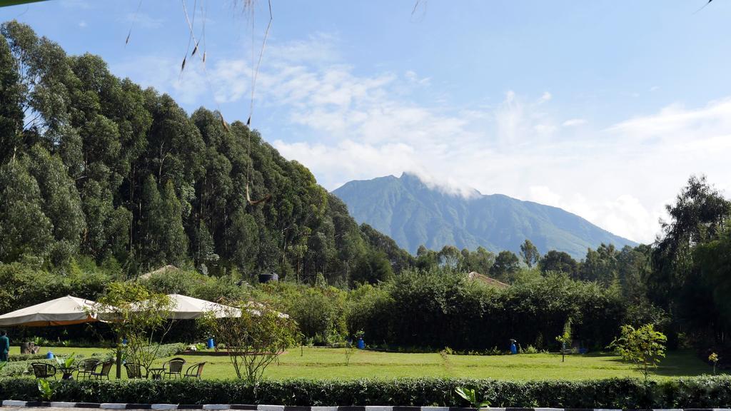 Le Bambou Gorilla Lodge Kinigi エクステリア 写真