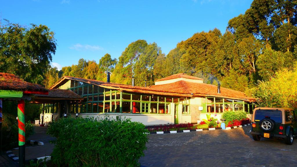 Le Bambou Gorilla Lodge Kinigi エクステリア 写真