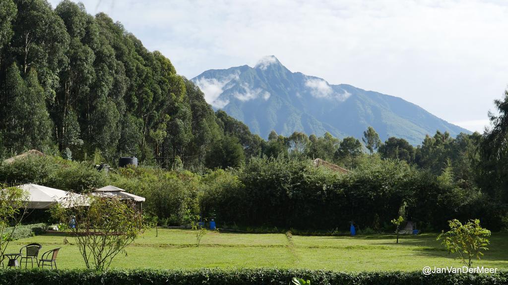 Le Bambou Gorilla Lodge Kinigi エクステリア 写真